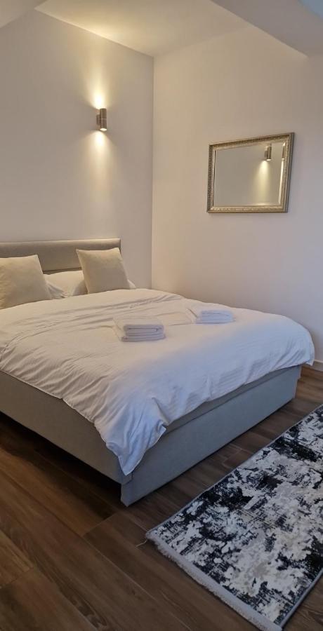 Modern House Hotell Sighetu Marmaţiei Eksteriør bilde